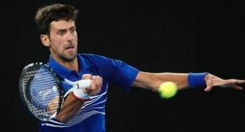 的履历略显 的履历略显