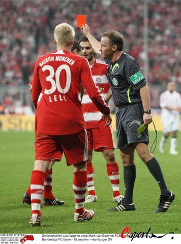 略生态自然 略生态自然